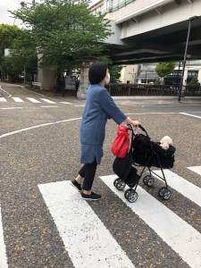 2j5N122aQYW1HL+VTs+cEw