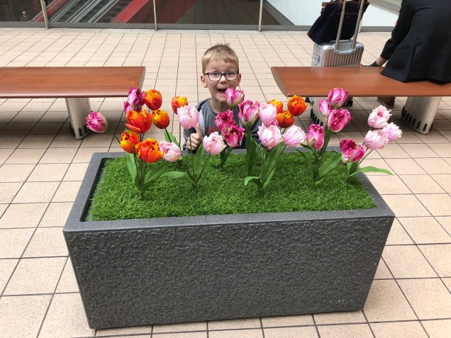 RsLMHzqKQEy8aleX3DOmSg