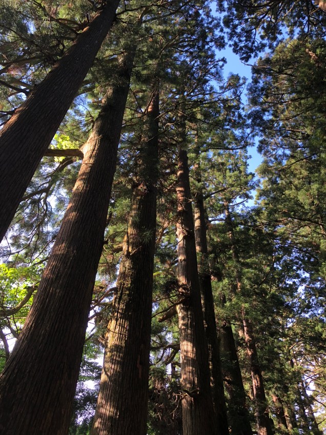 He8ryRceT0uU9SNHRHc4Ow