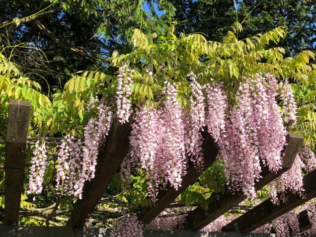 twpD%QJ8SB2uguyC1Blk0g